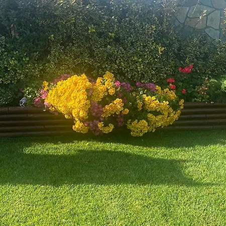 Il Suite, Di Bourtzi *